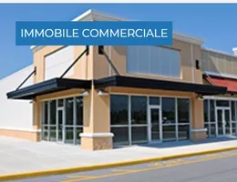 Aste giudiziarie immobiliari online - 9.0