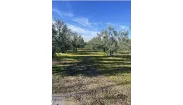 Aste giudiziarie immobiliari online - 11.0