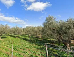 Aste giudiziarie immobiliari online - 1.0