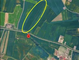 Aste giudiziarie immobiliari online - 12.0