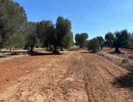 Aste giudiziarie immobiliari online - 4.0