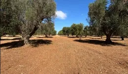 Aste giudiziarie immobiliari online - 2.0