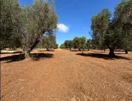 Aste giudiziarie immobiliari online - 3.0