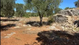 Aste giudiziarie immobiliari online - 3.0