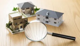 Aste giudiziarie immobiliari online - 12.0