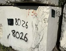 Aste giudiziarie mobiliari online - 6.0