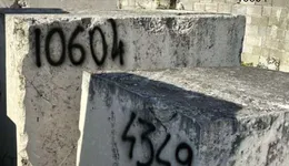 Aste giudiziarie mobiliari online - 3.0