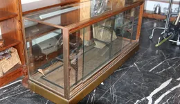 Aste giudiziarie mobiliari online - 3.0