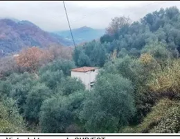 Aste giudiziarie immobiliari online - 1.0
