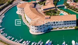 Aste giudiziarie beni immateriali online - 1.0