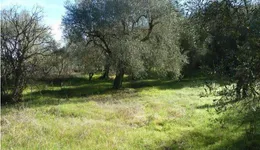 Aste giudiziarie immobiliari online - 6.0