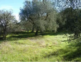 Aste giudiziarie immobiliari online - 5.0