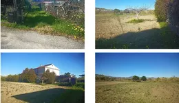 Aste giudiziarie immobiliari online - 1.0