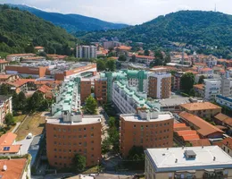 Aste giudiziarie immobiliari online - 11.0