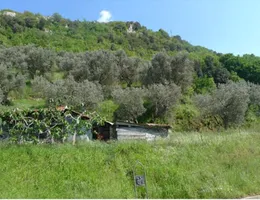 Aste giudiziarie immobiliari online - 7.0