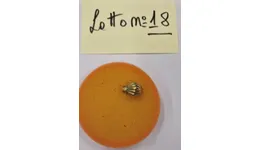 Aste giudiziarie mobiliari online - 7.0