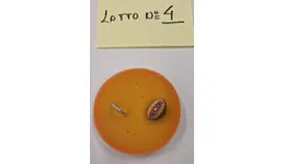 Aste giudiziarie mobiliari online - 1.0