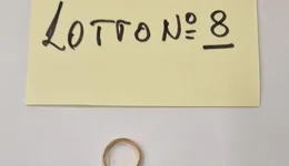 Aste giudiziarie mobiliari online - 1.0