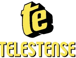 Aste giudiziarie beni immateriali online - 4.0