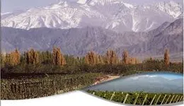 Aste giudiziarie immobiliari online - 3.0