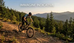 Aste giudiziarie mobiliari online - 5.0