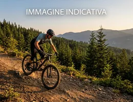 Aste giudiziarie mobiliari online - 5.0