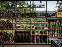 Aste giudiziarie mobiliari online - 4.0