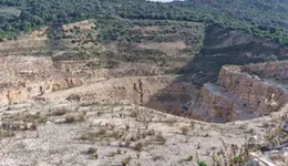 Aste giudiziarie beni immateriali online - 2.0