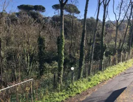 Aste giudiziarie immobiliari online - 11.0