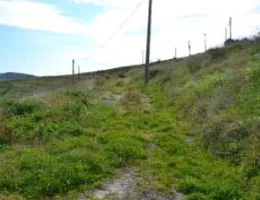 Aste giudiziarie immobiliari online - 2.0