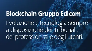 Aste giudiziarie immobiliari e fallimentari online - 6.1