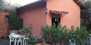 Aste giudiziarie immobiliari e fallimentari online - 2.9