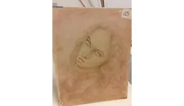 Aste giudiziarie mobiliari online - 11.0