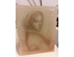 Aste giudiziarie mobiliari online - 7.0