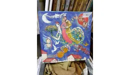 Aste giudiziarie mobiliari online - 9.0