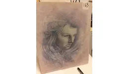 Aste giudiziarie mobiliari online - 6.0