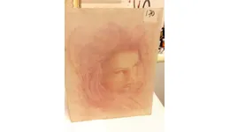 Aste giudiziarie mobiliari online - 2.0