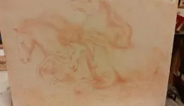 Aste giudiziarie mobiliari online - 11.0