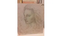 Aste giudiziarie mobiliari online - 4.0