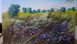 Aste giudiziarie mobiliari online - 12.0