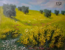 Aste giudiziarie mobiliari online - 6.0