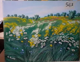 Aste giudiziarie mobiliari online - 5.0