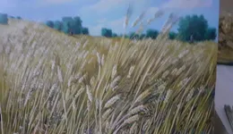 Aste giudiziarie mobiliari online - 8.0