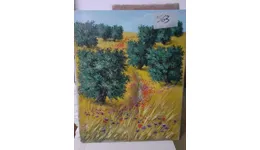 Aste giudiziarie mobiliari online - 5.0