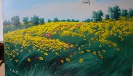 Aste giudiziarie mobiliari online - 4.0