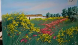 Aste giudiziarie mobiliari online - 10.0