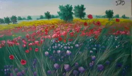 Aste giudiziarie mobiliari online - 10.0