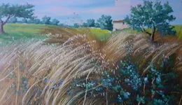 Aste giudiziarie mobiliari online - 7.0