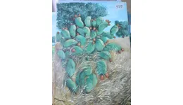 Aste giudiziarie mobiliari online - 6.0