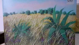 Aste giudiziarie mobiliari online - 8.0